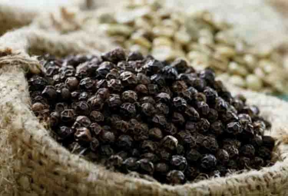 US emerges as largest consumer of Vietnamese pepper